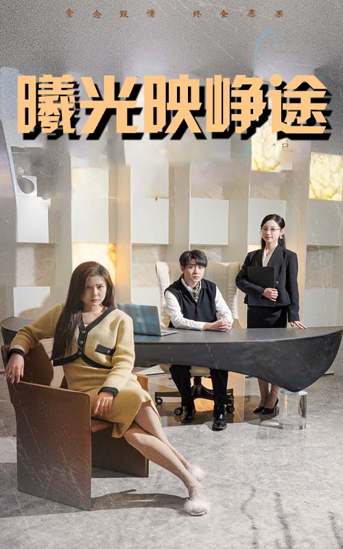 错把瓦砾当明珠海报