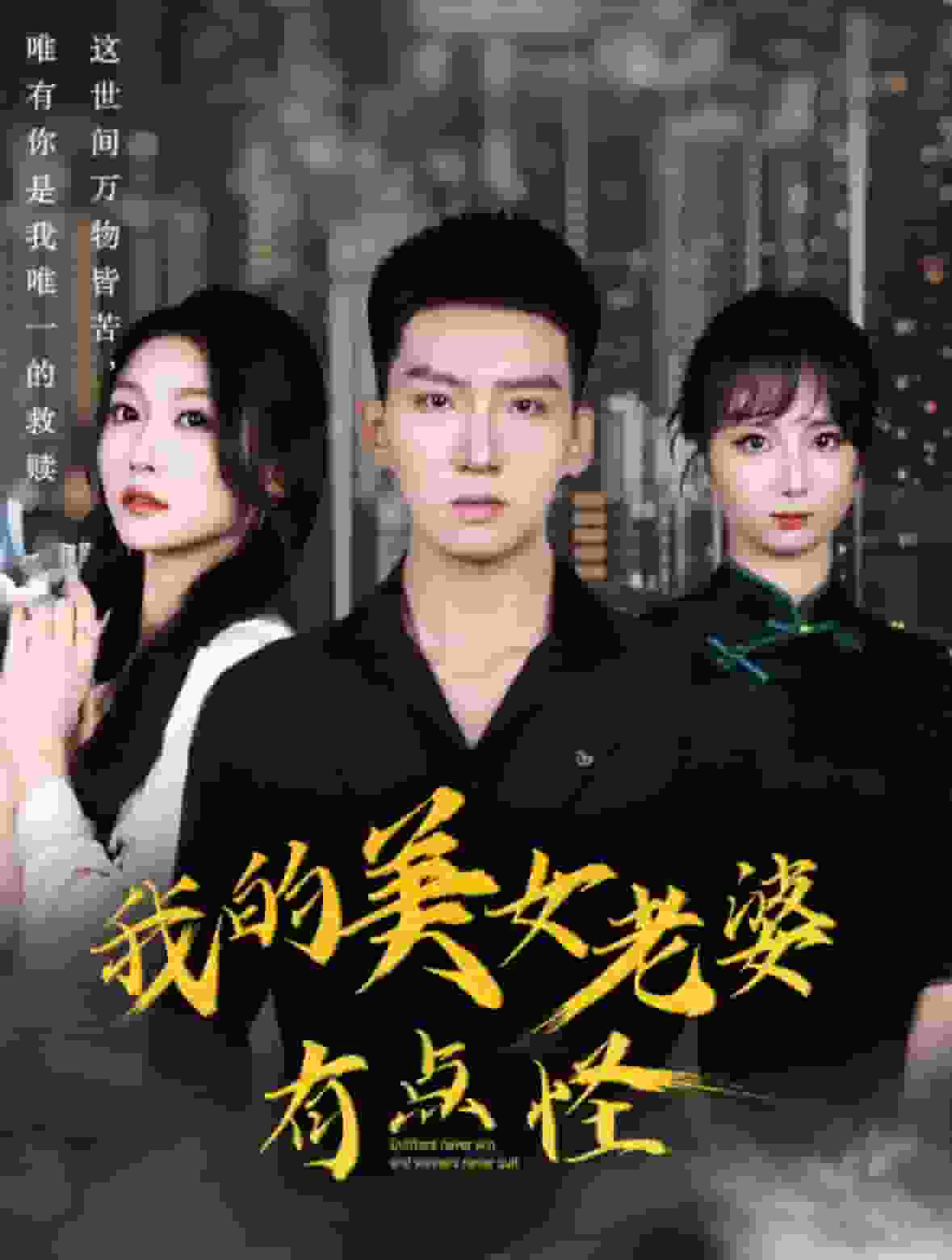 我的美女老婆有点怪海报