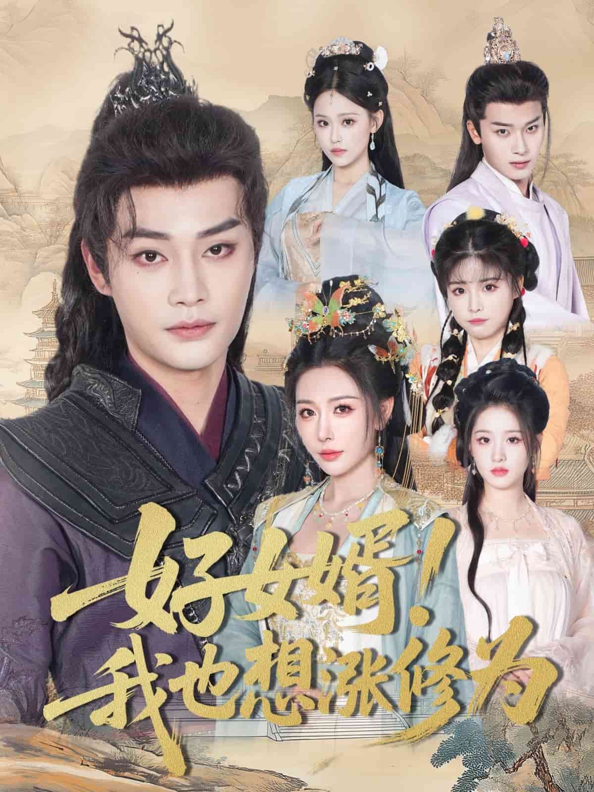 好女婿我也想涨修为海报