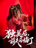 独美后前夫后悔了海报