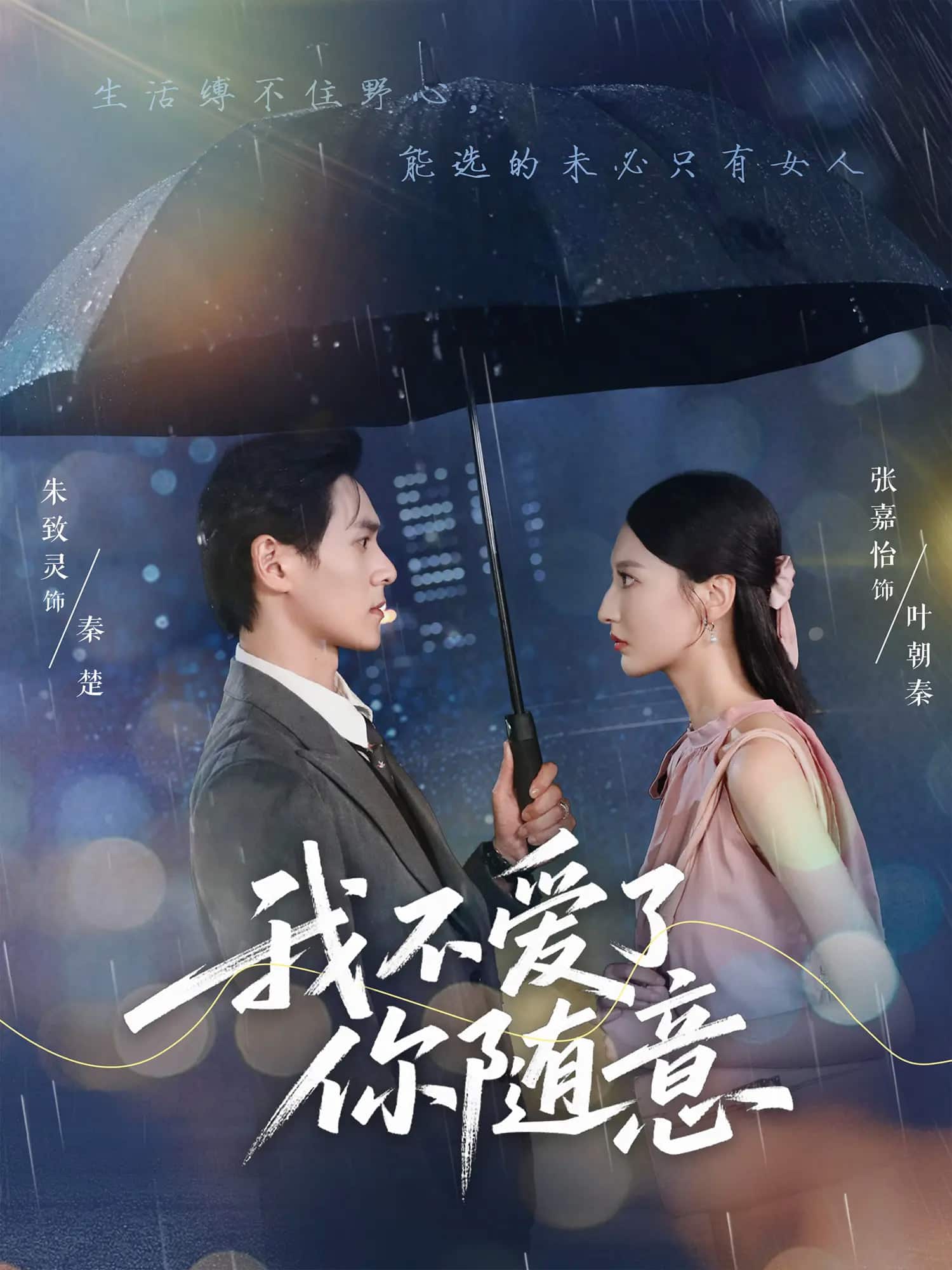 我不爱了你随意海报