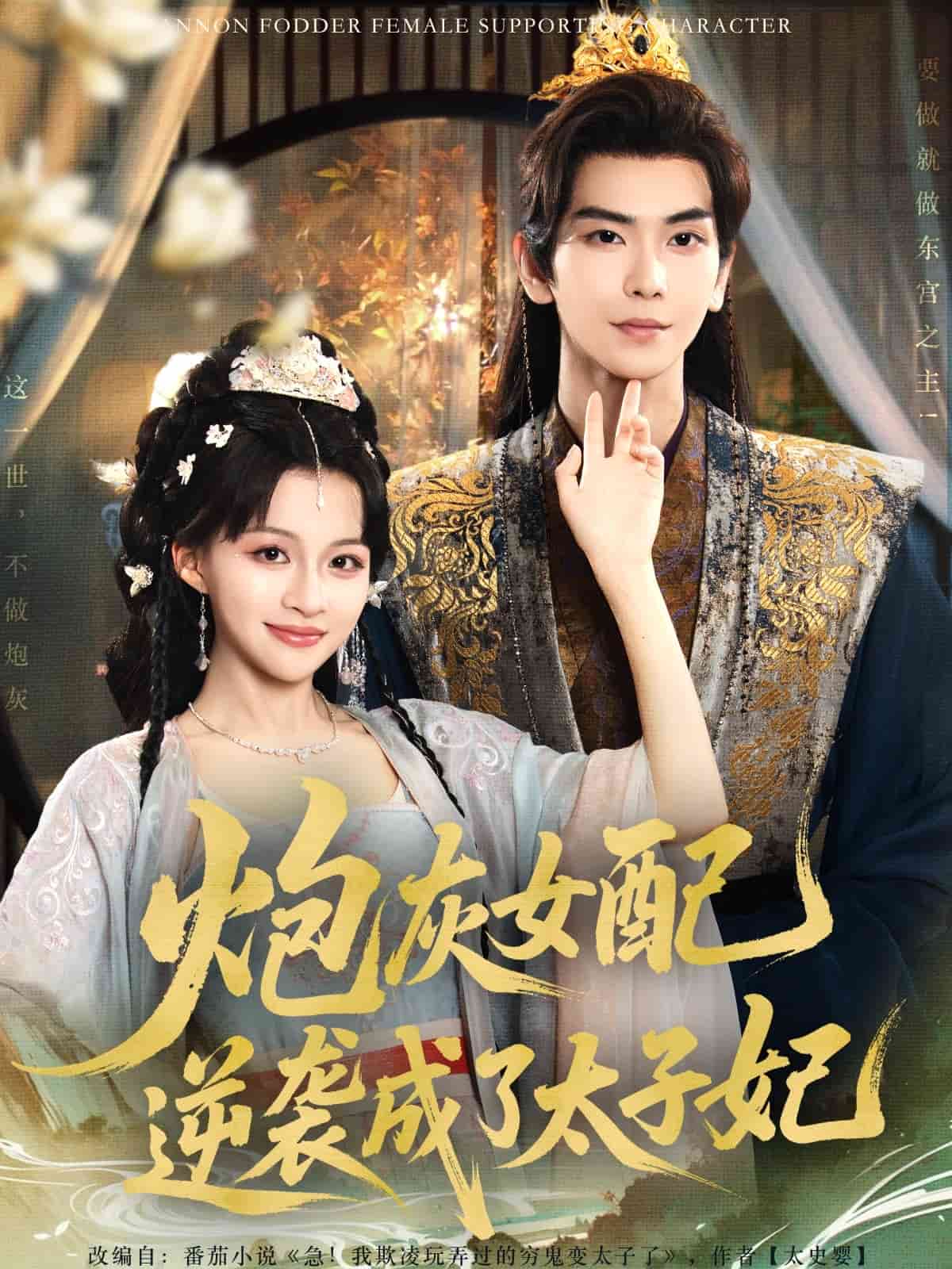 炮灰女配逆袭成了太子妃海报