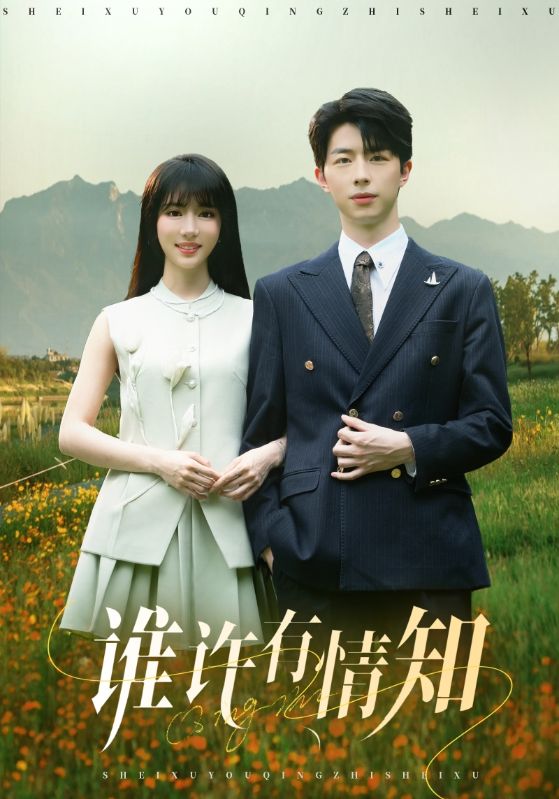 谁许有情知海报