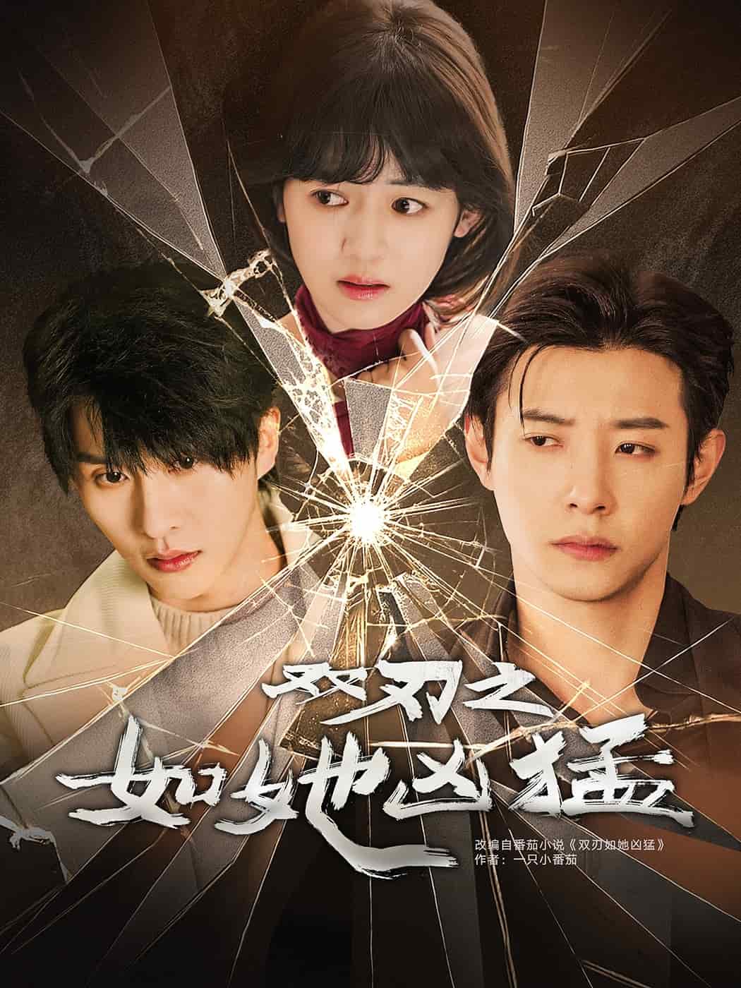 双刃之如她凶猛海报