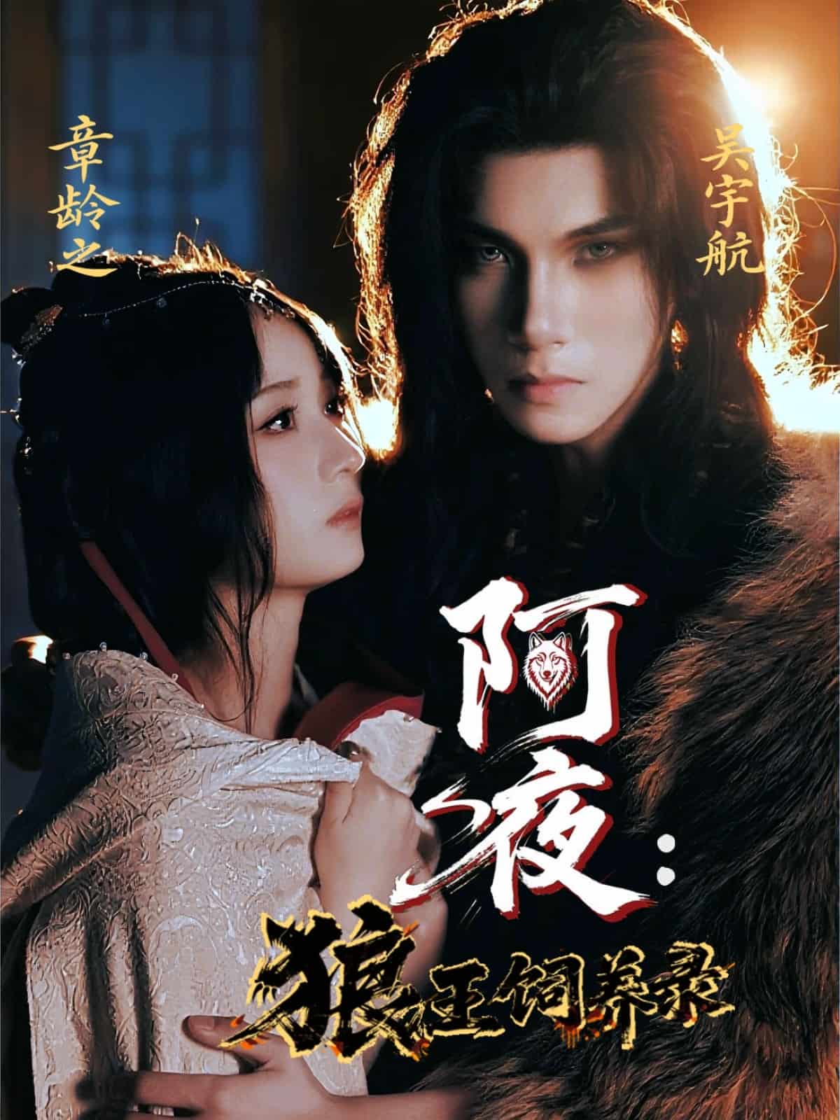 阿夜狼王饲养录海报