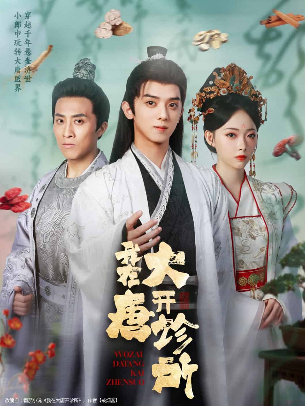 我在大唐开诊所海报