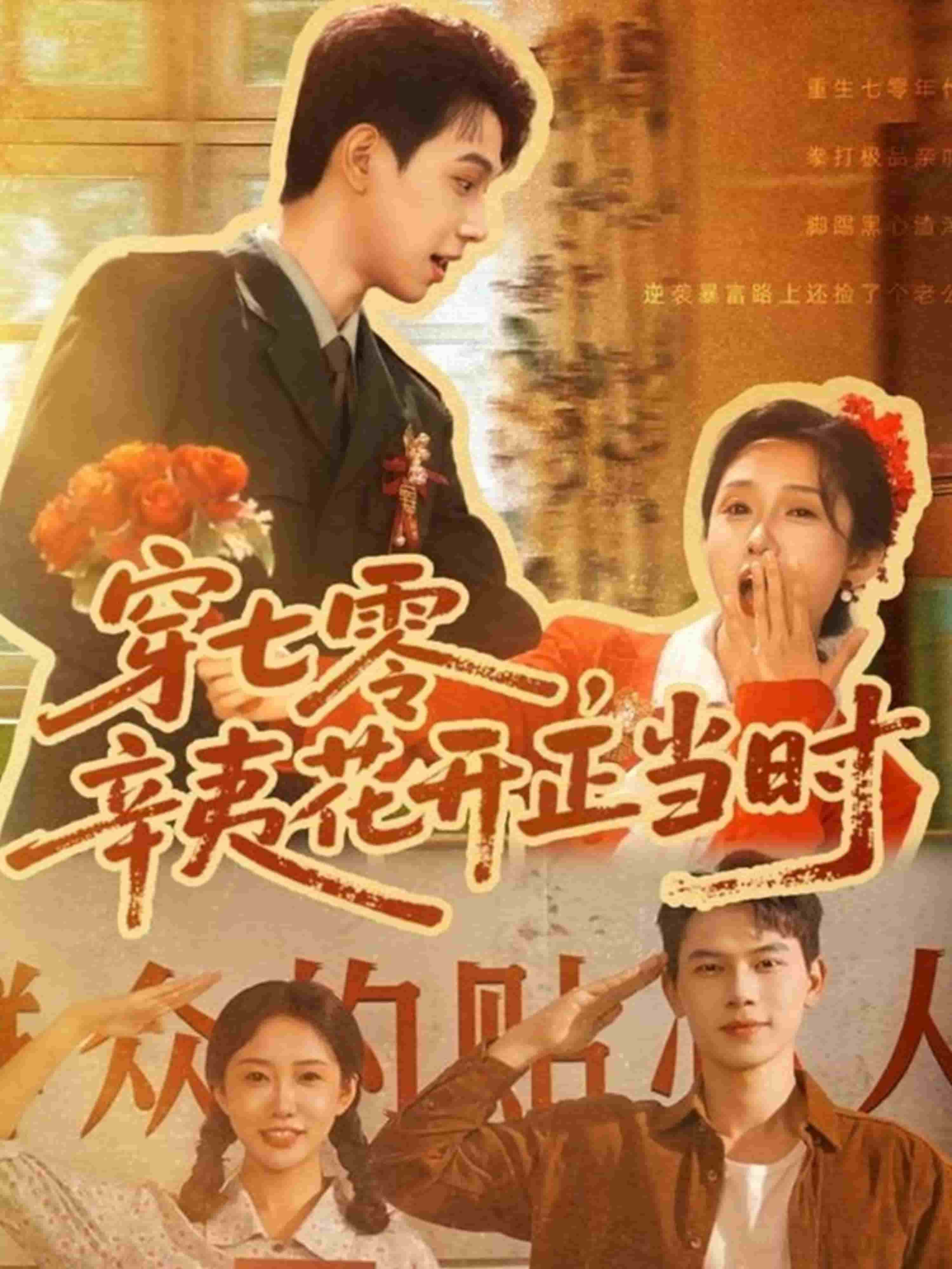 穿七零辛夷花开正当时海报