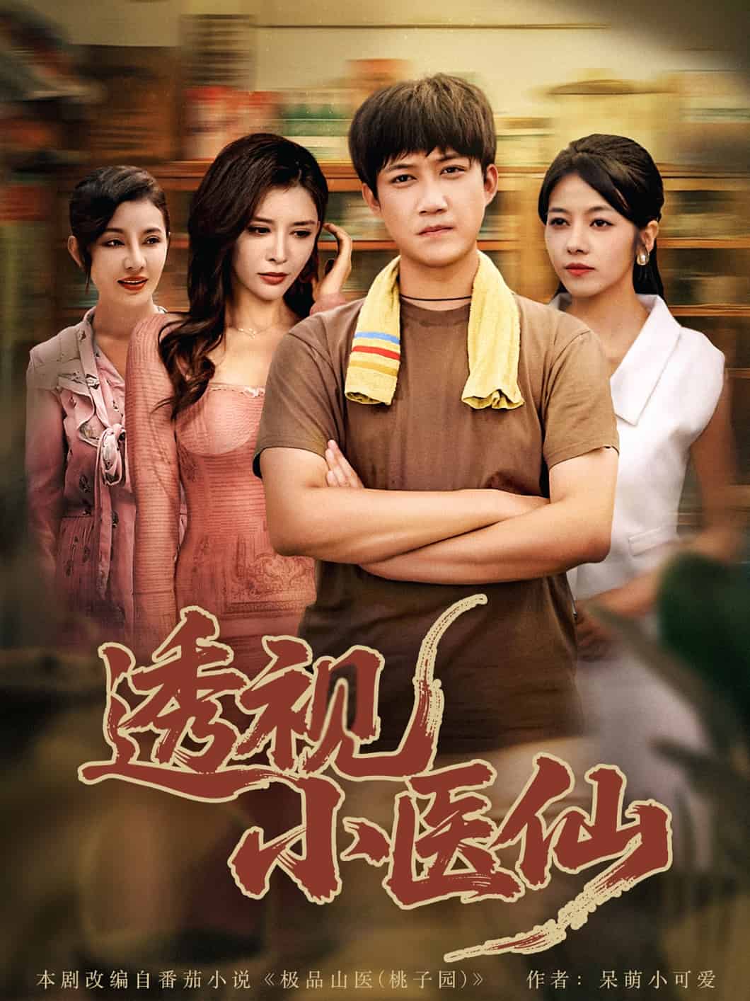 透视小医仙海报