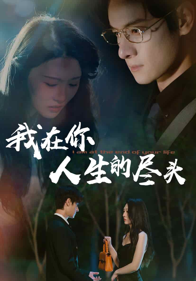 我在你人生的尽头海报