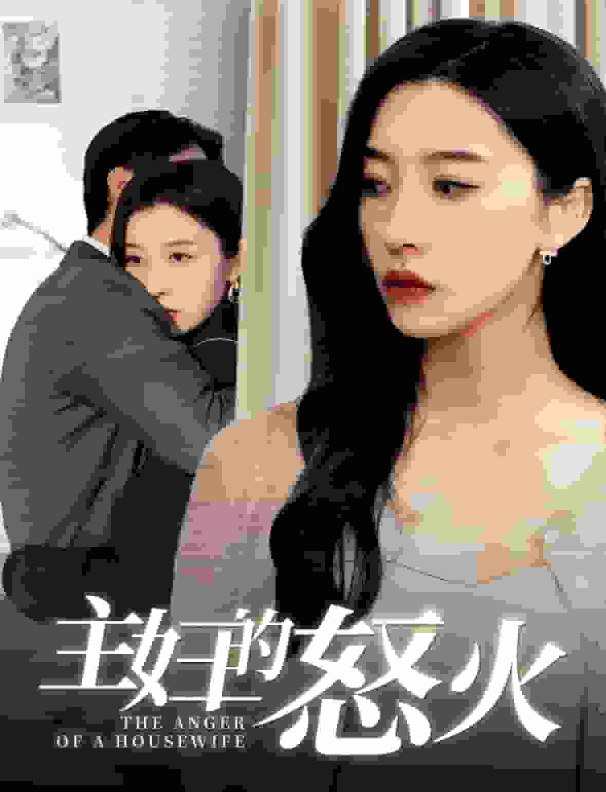 主妇的怒火海报