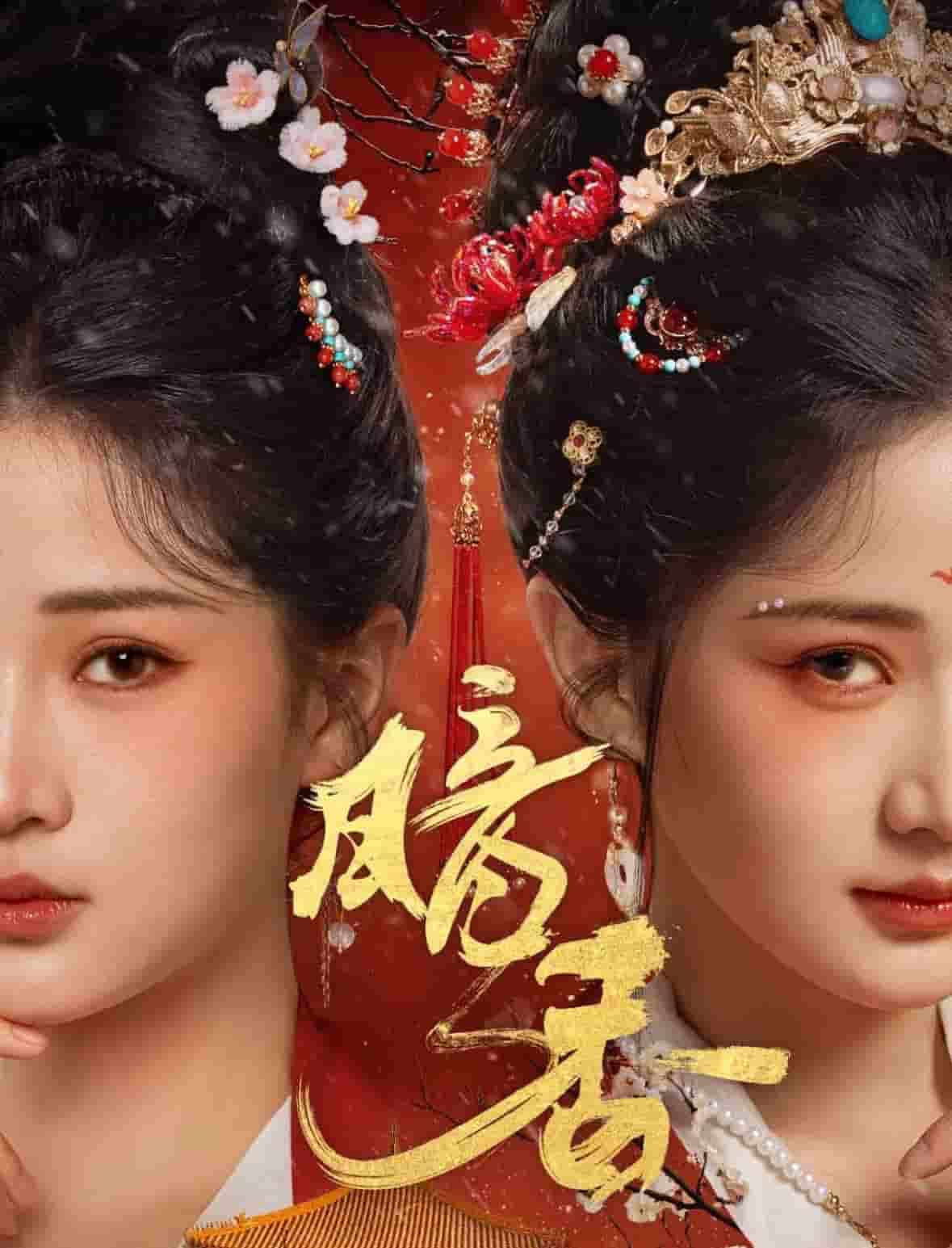 暗香海报