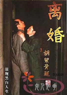 离婚1999海报