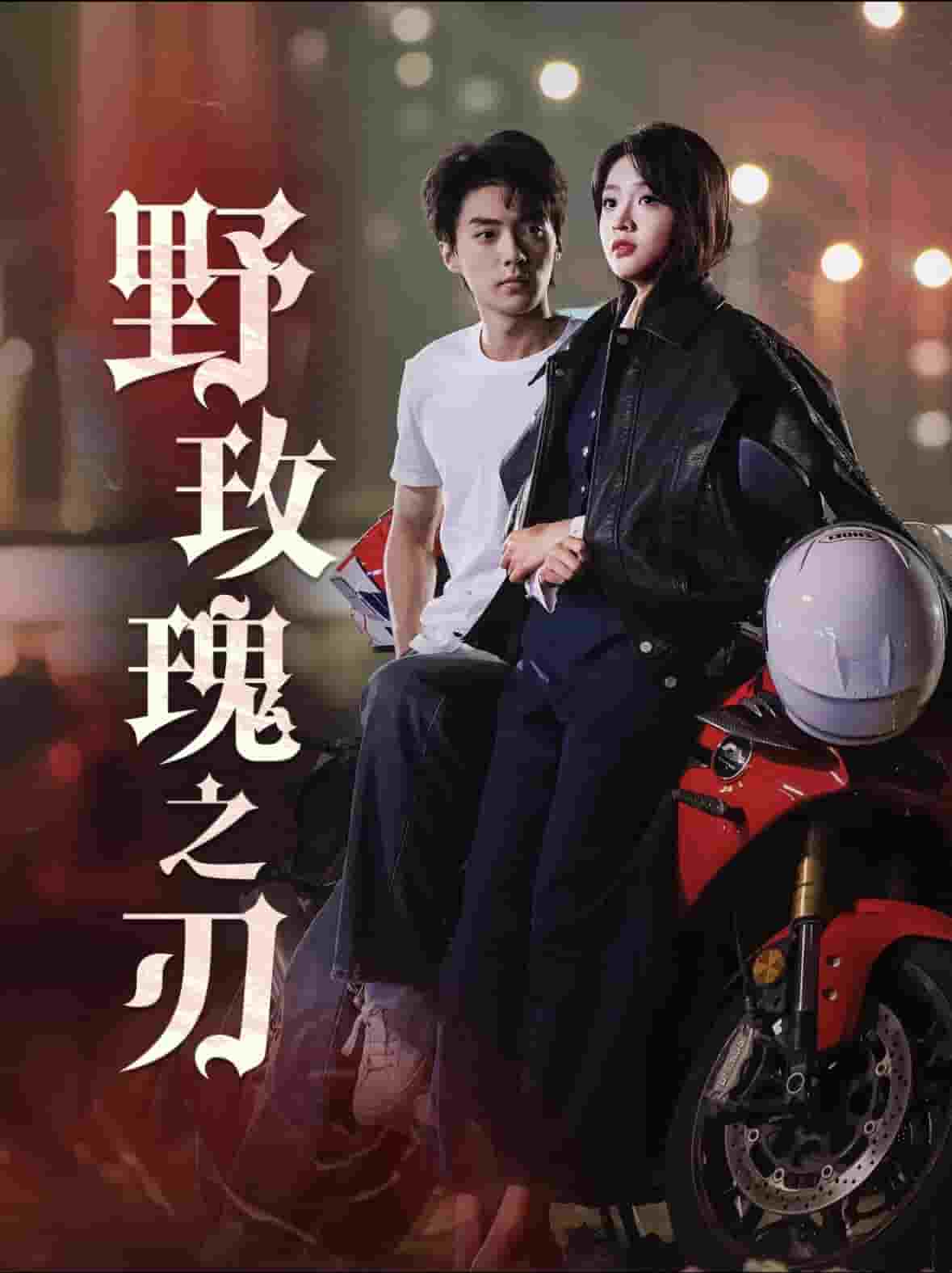 野玫瑰之刃海报