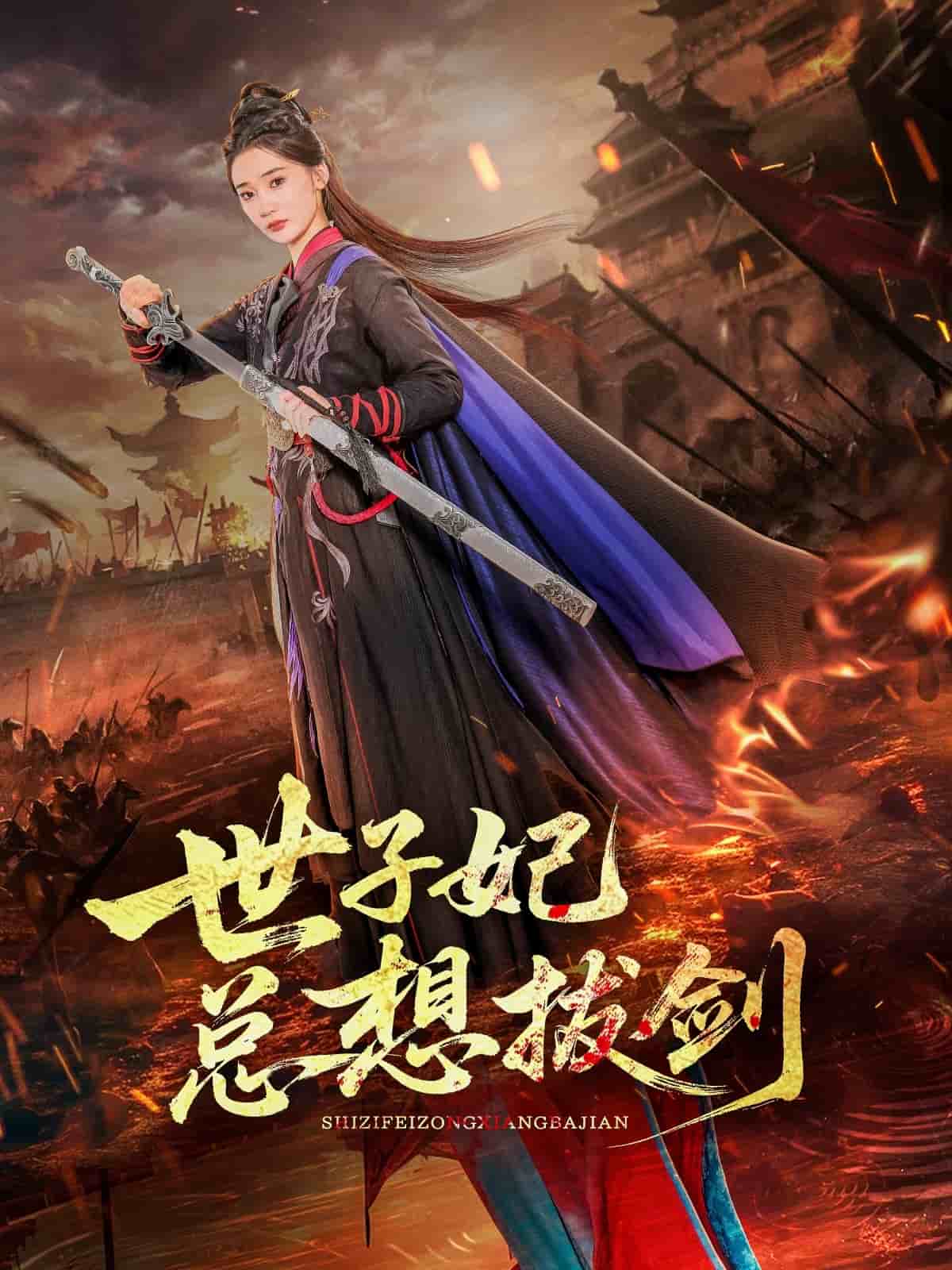 世子妃总想拔剑海报