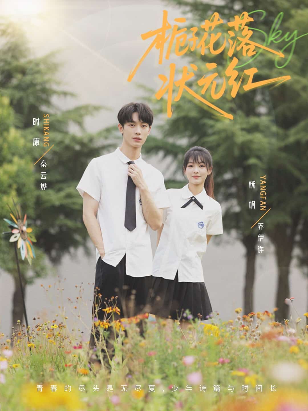 栀子花落状元红海报