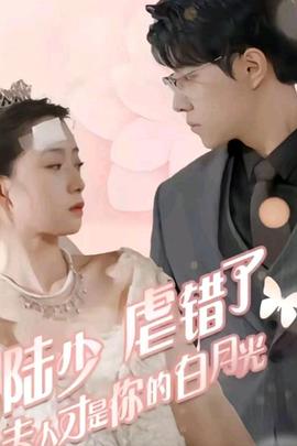 陆少虐错了，夫人才是你的白月光海报