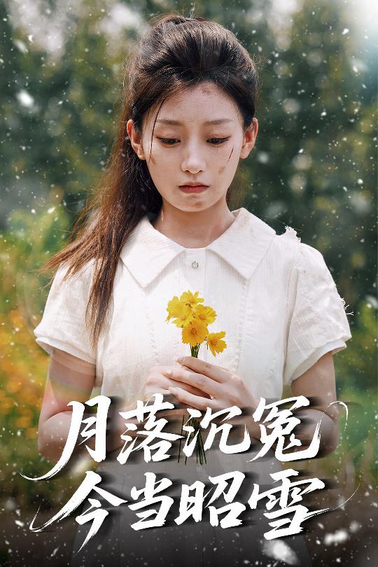 月落沉冤今当昭雪海报