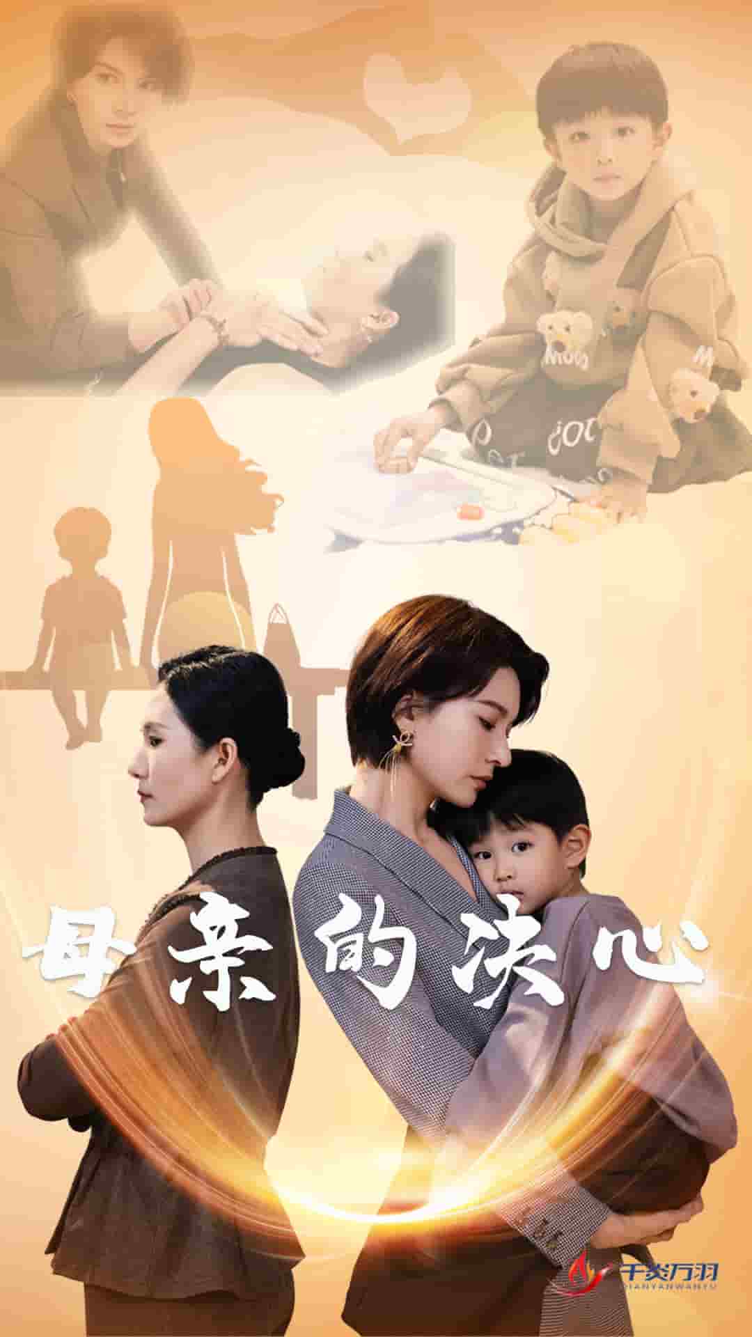母亲的决心海报