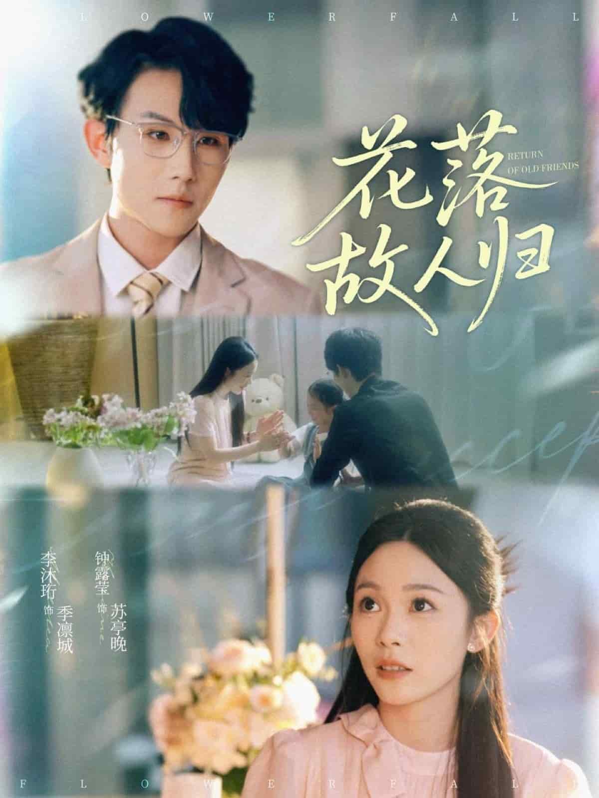 花落故人归海报
