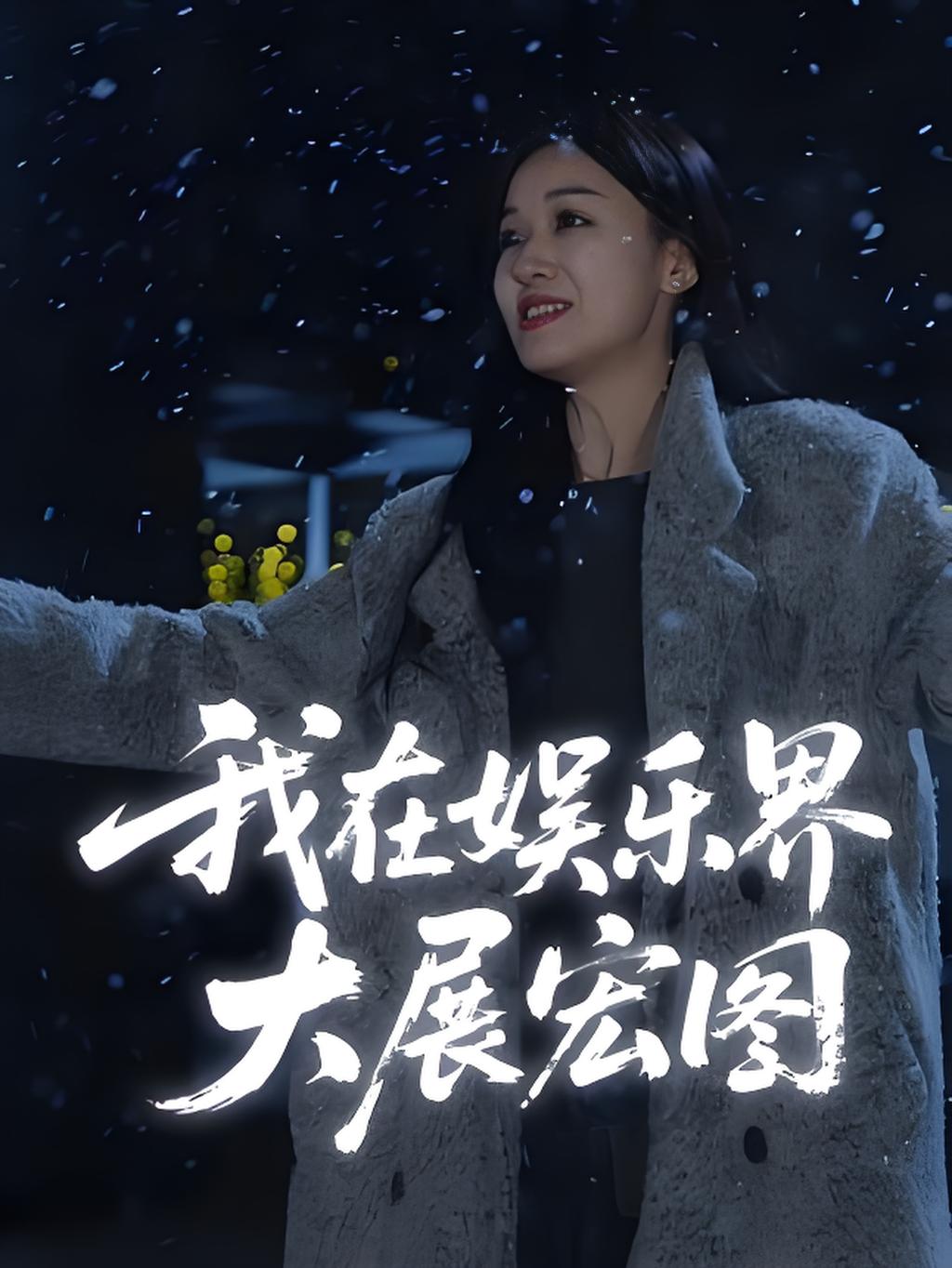 娱界掌舵人海报