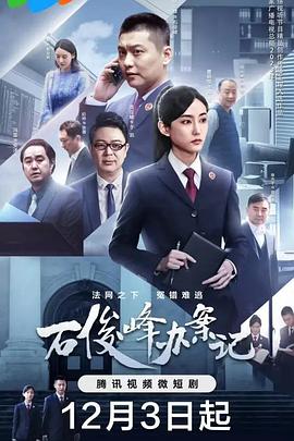石俊峰办案记海报