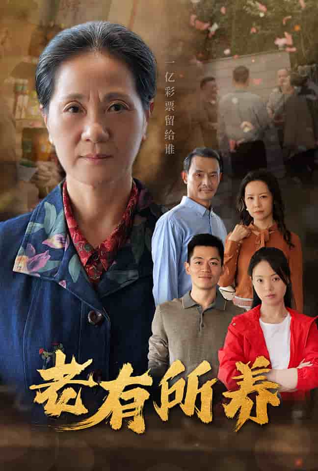 老有所养海报
