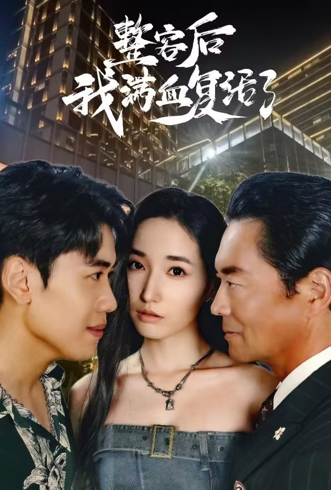 整容后我满血复活了海报