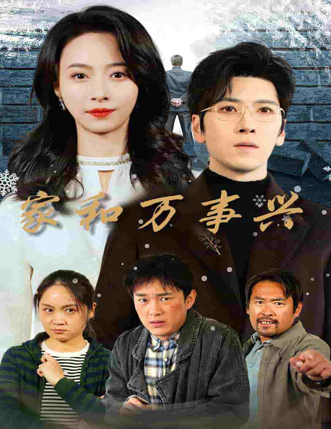 家和万事兴 短剧版海报