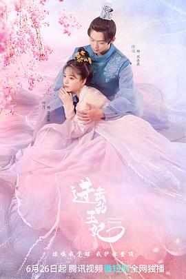 进击的王妃海报