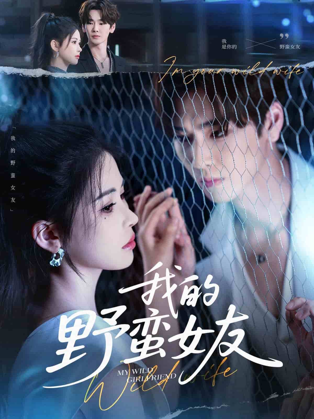 我的野蛮女友（短剧版）海报