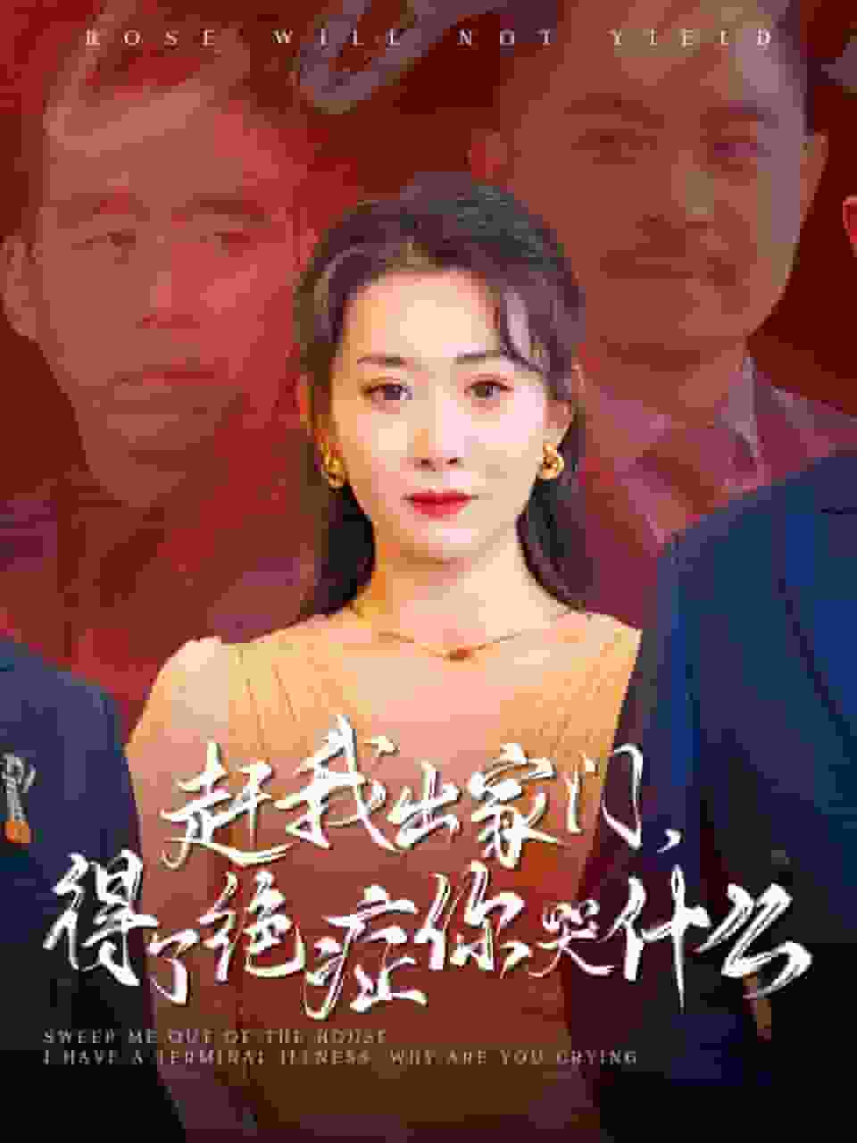 赶我出家门得了绝症你哭什么海报