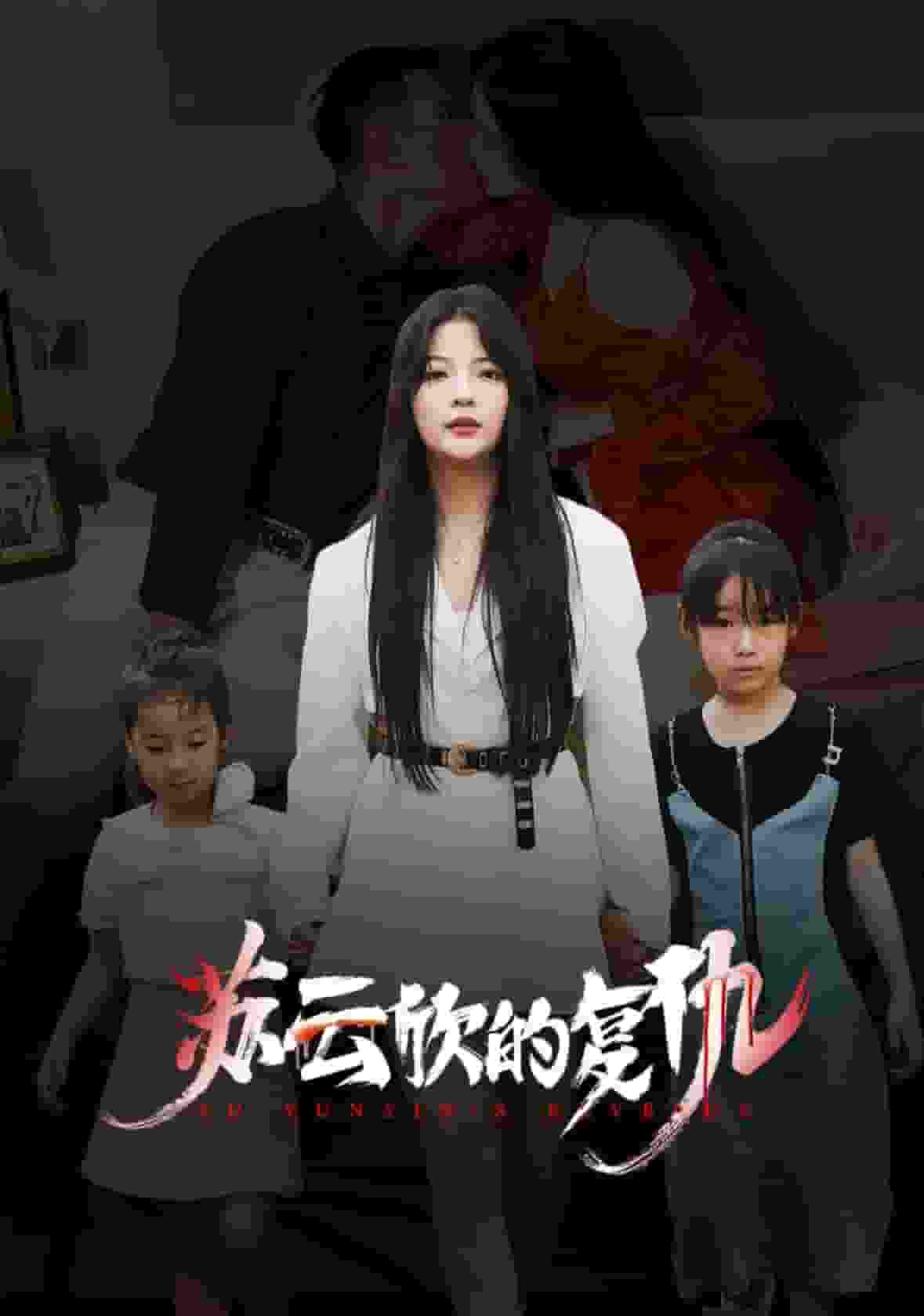 苏云欣的复仇海报