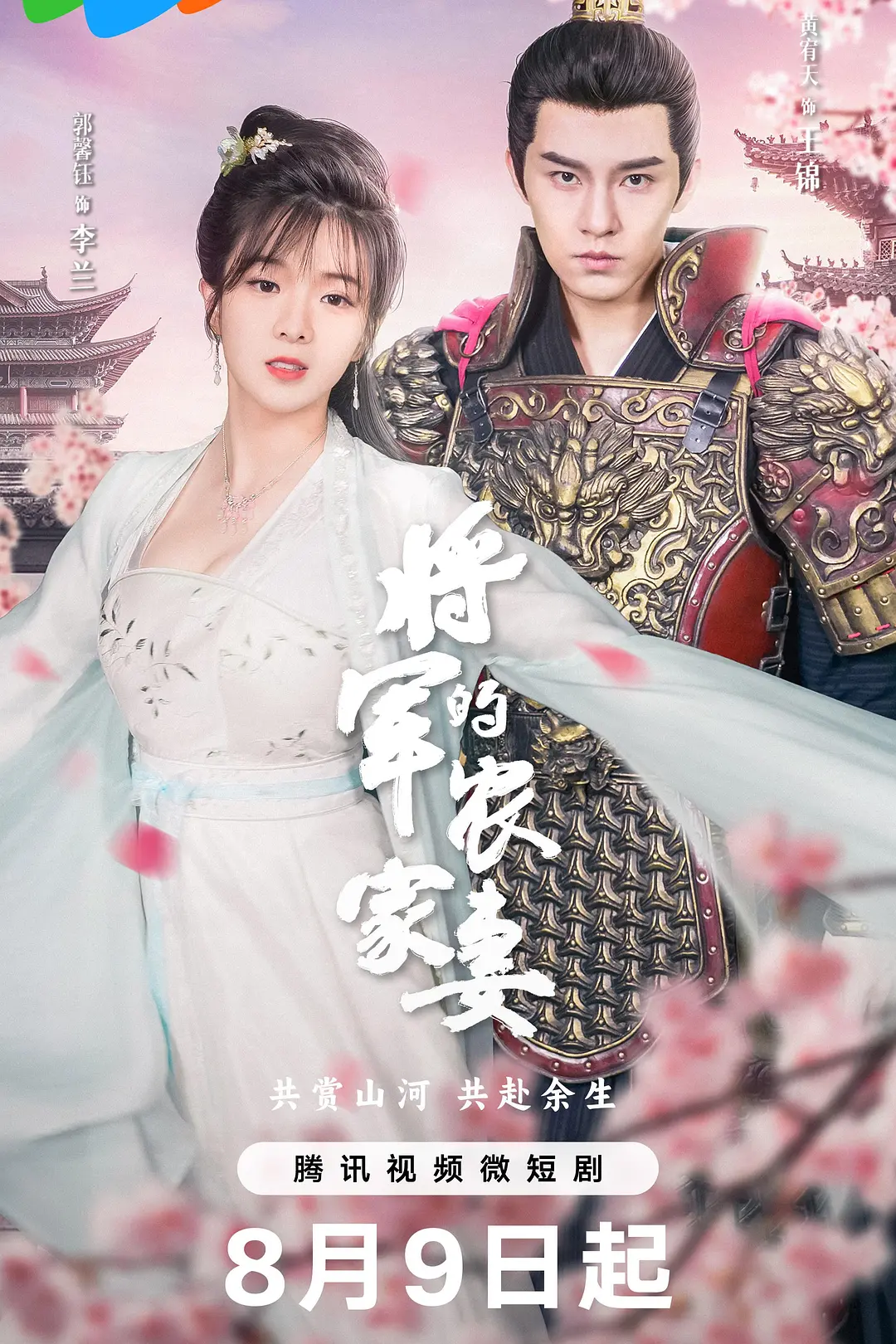 将军的农家妻海报
