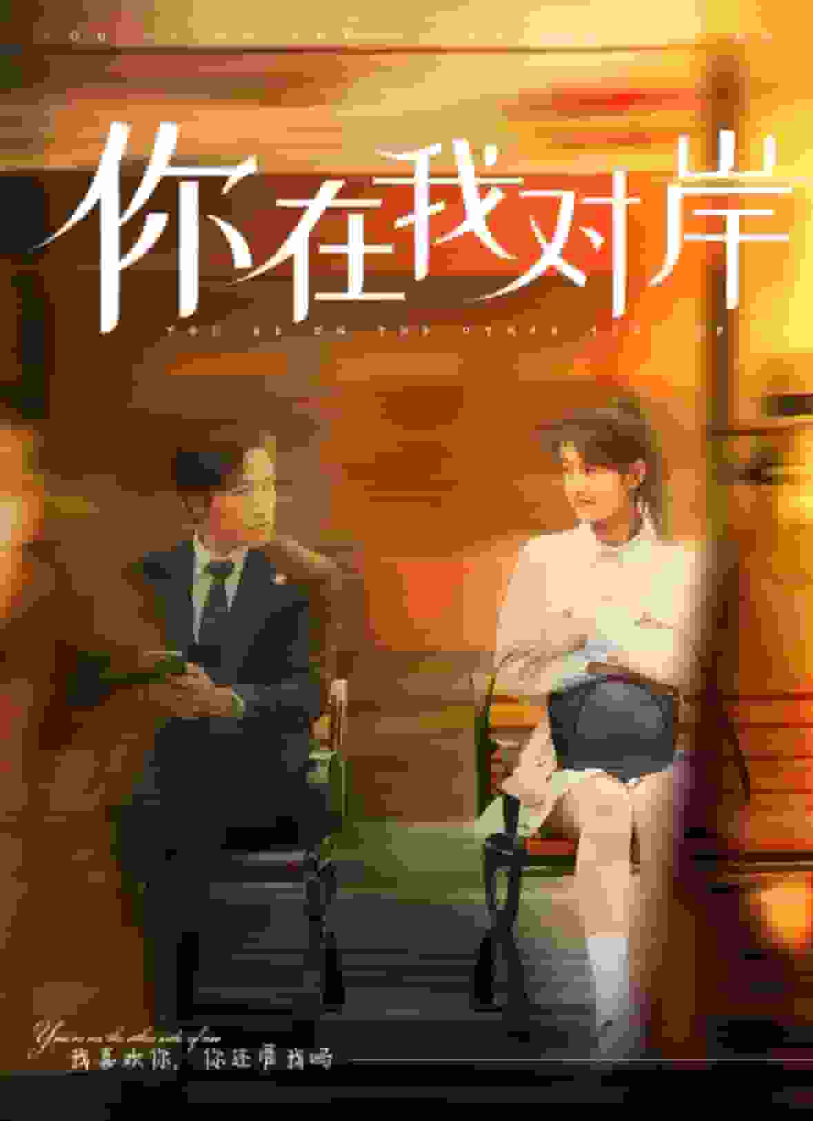 你在我对岸海报