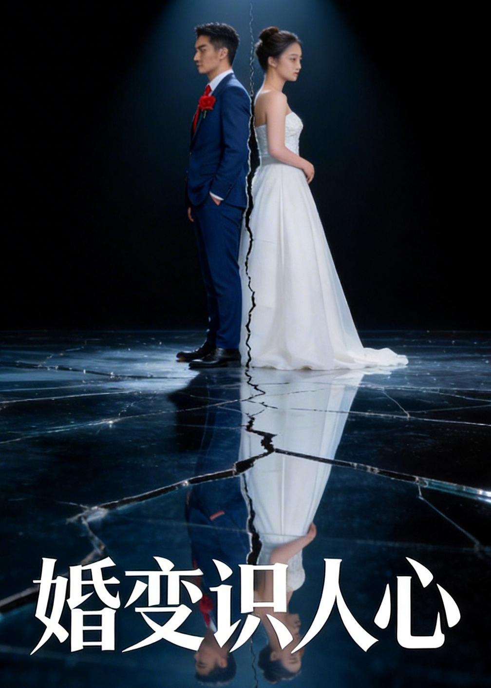 婚变识人心海报