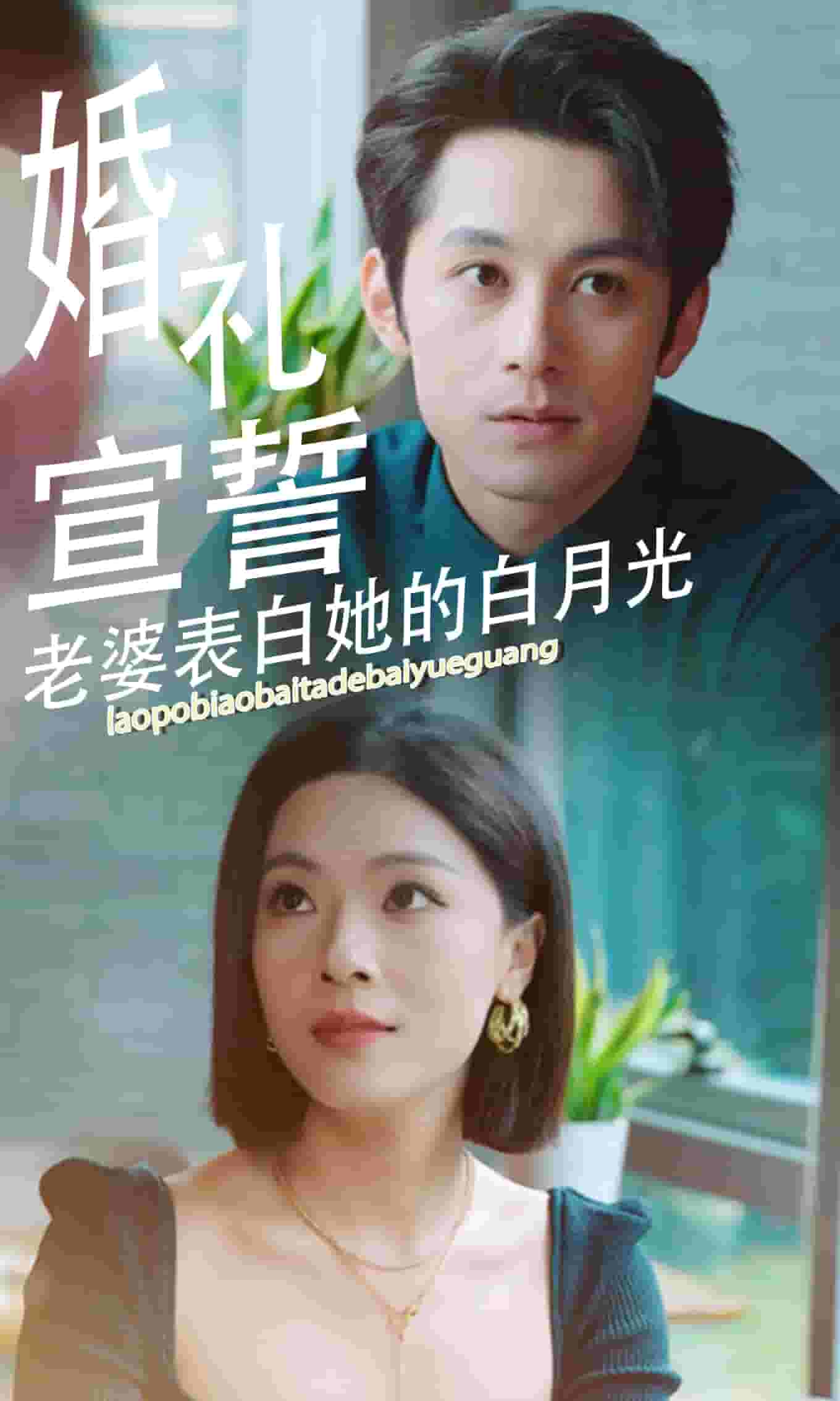 婚礼宣誓老婆表白她的白月光海报