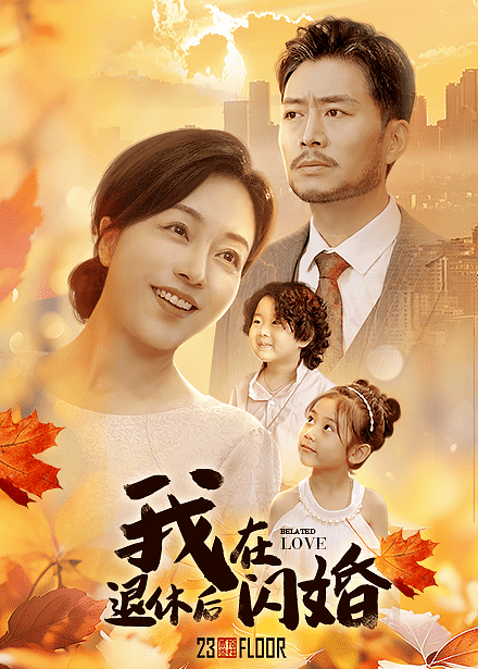 我在退休后闪婚海报