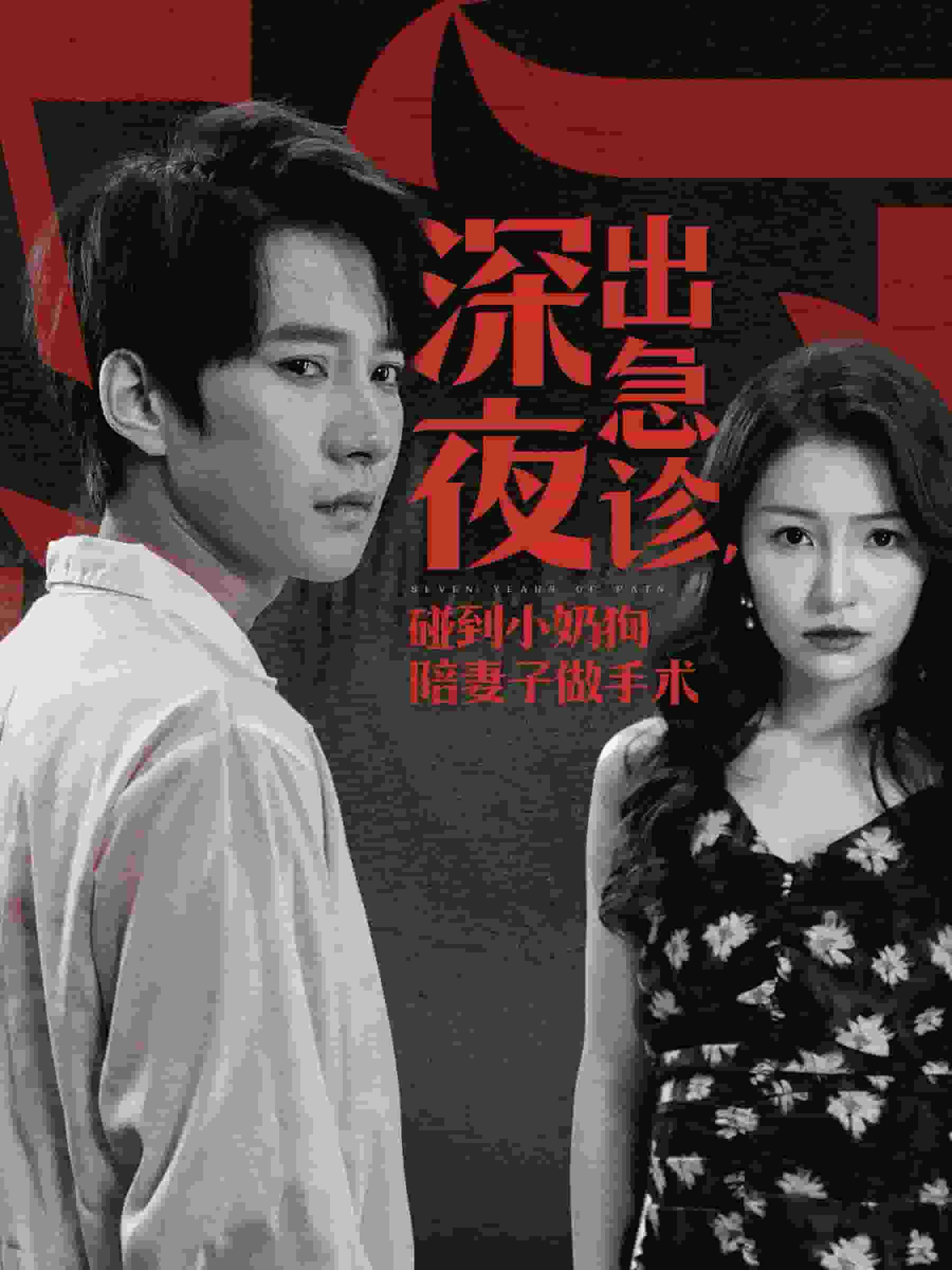 深夜出急诊碰到小奶狗陪妻子做手术海报