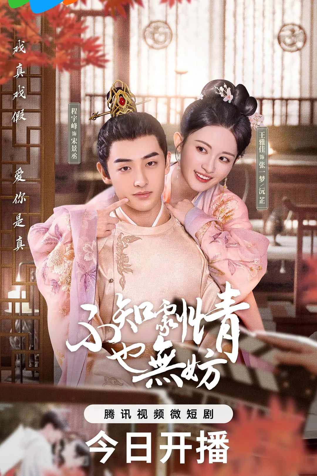 不知剧情也无妨海报
