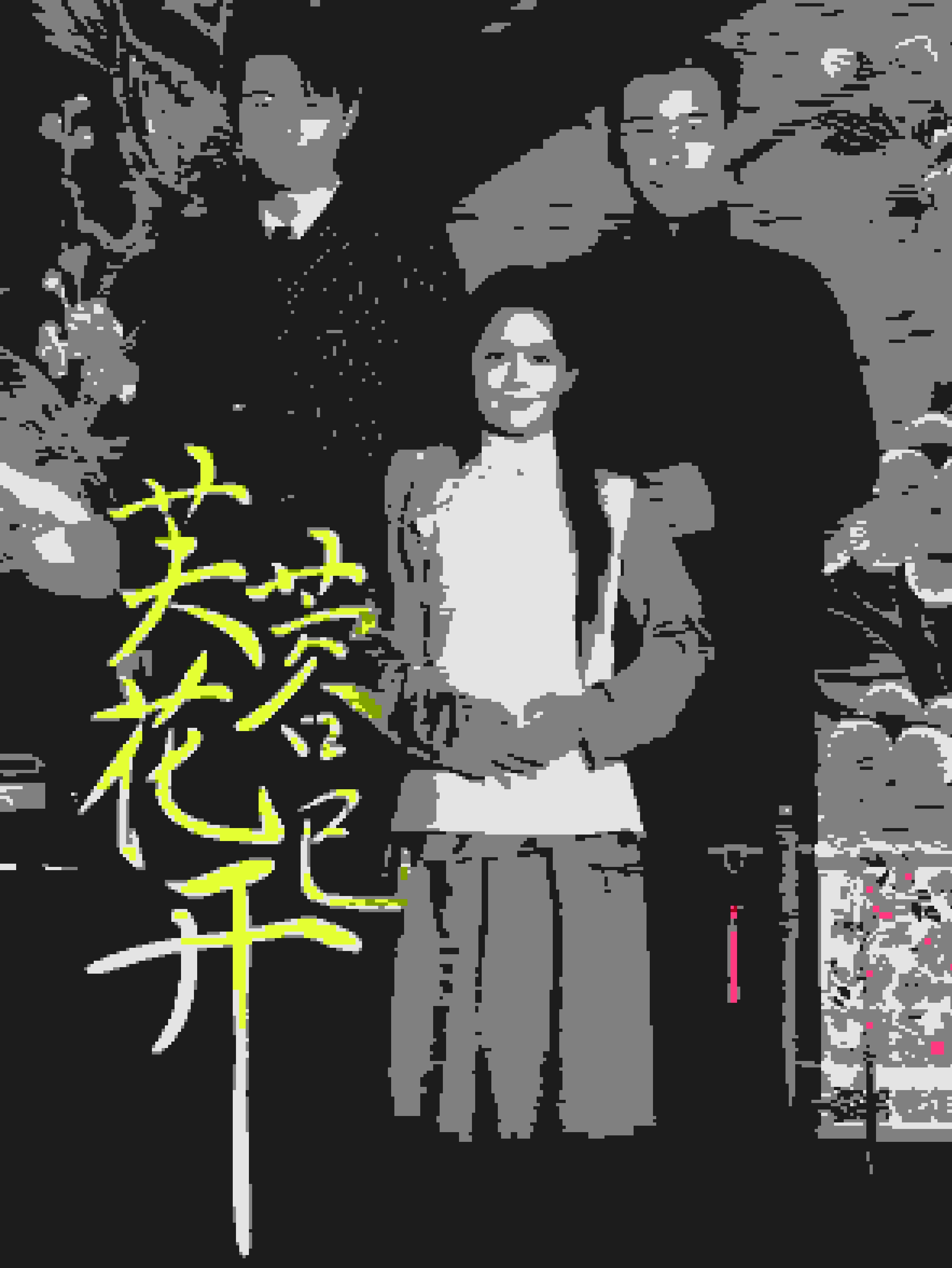 芙蓉花已开海报