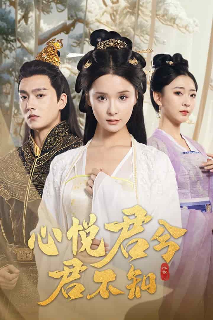 心悦君兮君不知海报