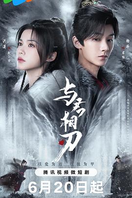 与君相刃海报