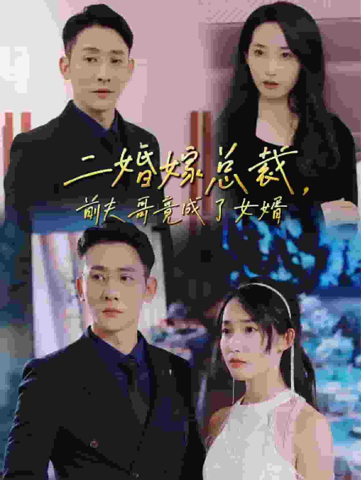 二婚嫁总裁前夫哥竟成了女婿海报