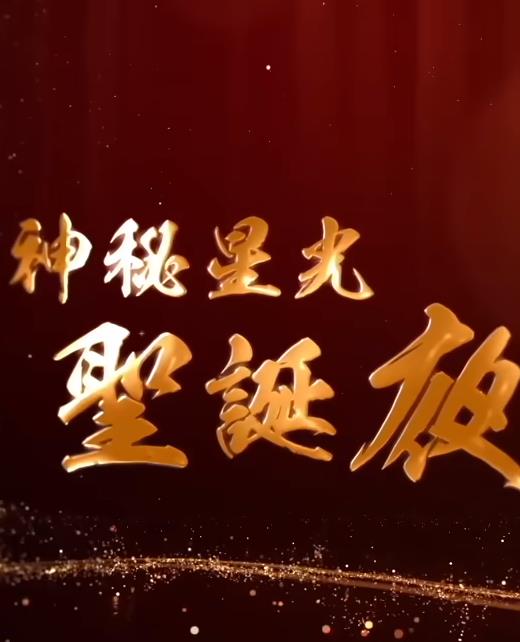 神秘星光圣诞夜粤语海报