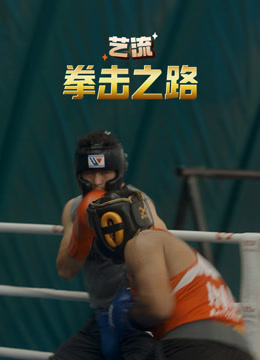 艺流·拳击之路海报