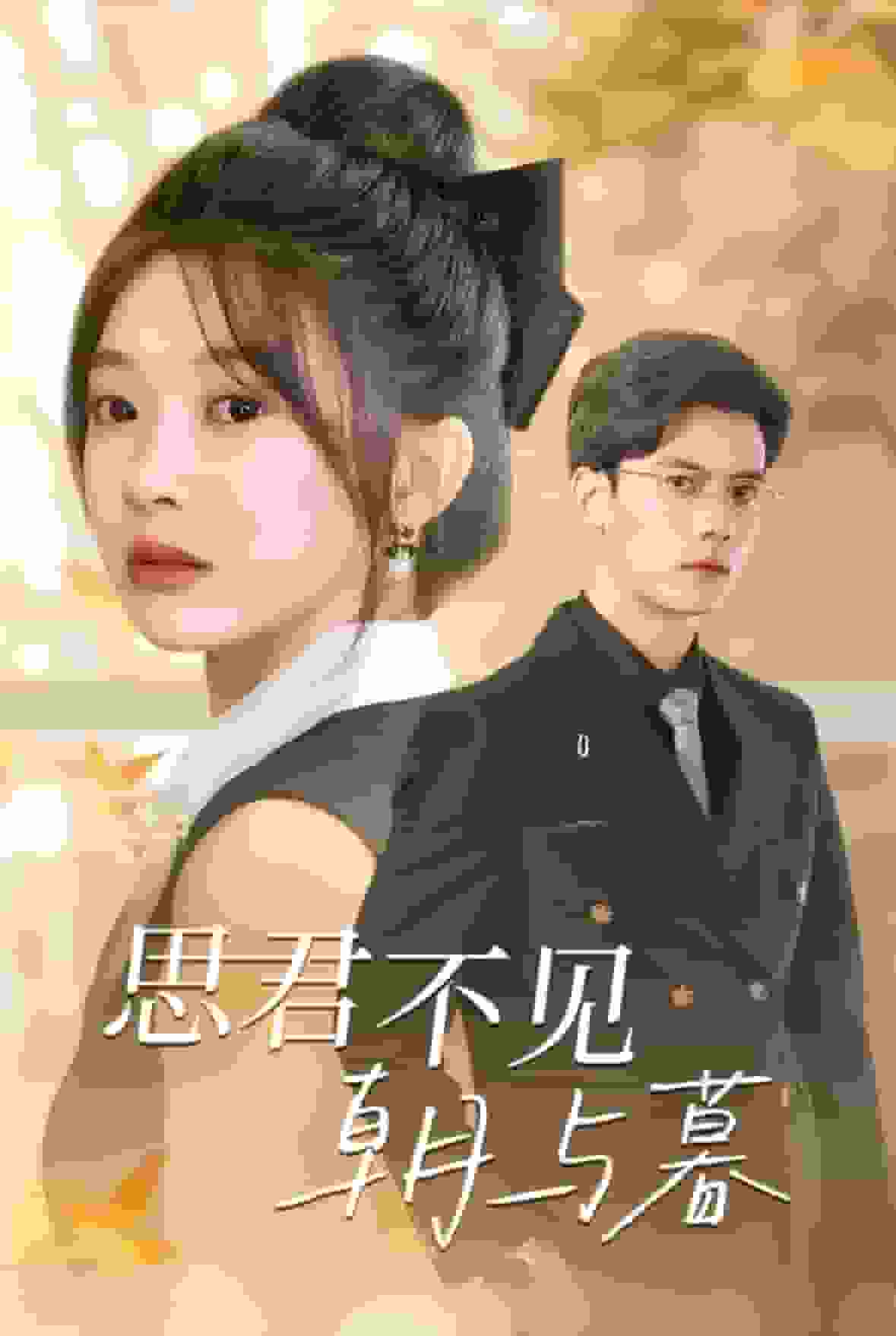 思君不见朝与暮海报