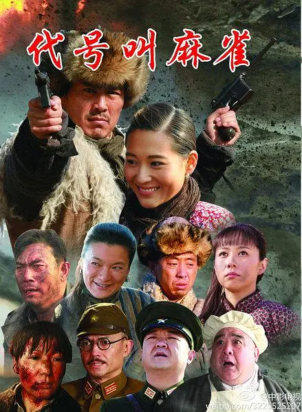 代号叫麻雀海报