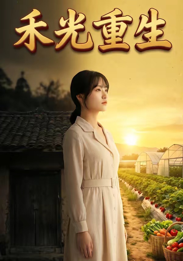 禾光重生海报