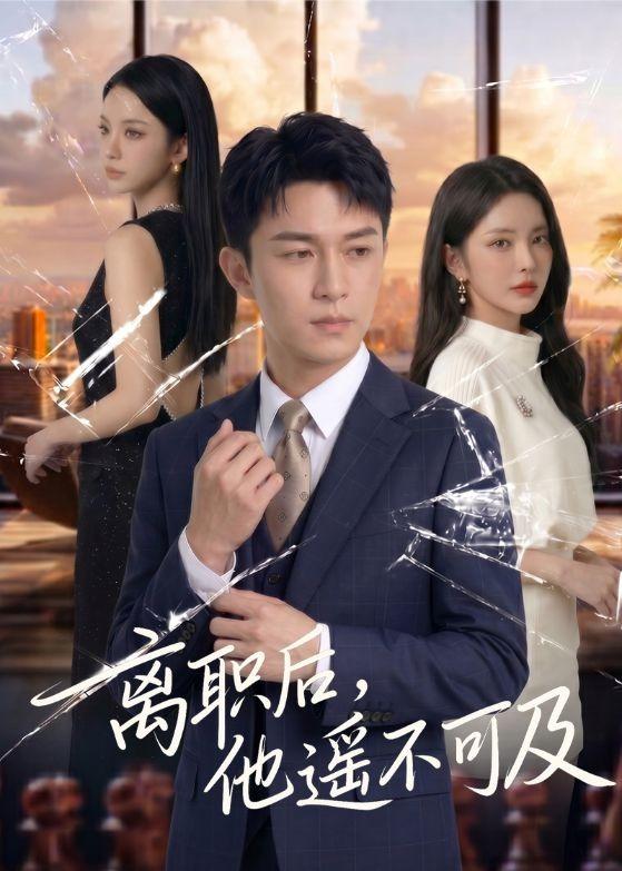 离职后，他遥不可及海报