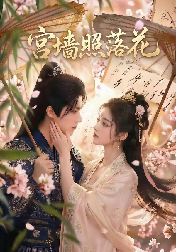 宫墙照落花海报